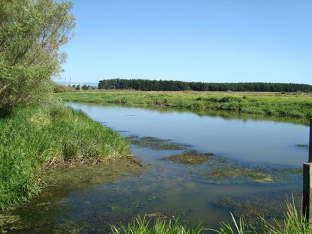 Te Awahou Stream and Manawatu River at Foxton 28 February 2010 - Resource cover image