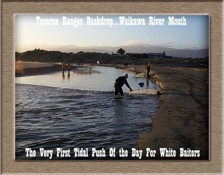 Waikawa Whitebaiters