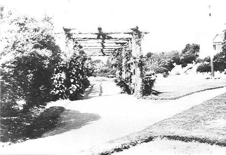 Public Gardens, Levin, c.1926 ?