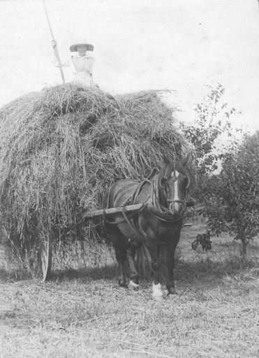 Gertrude Dempsey on top of hay on cart drawn by horse