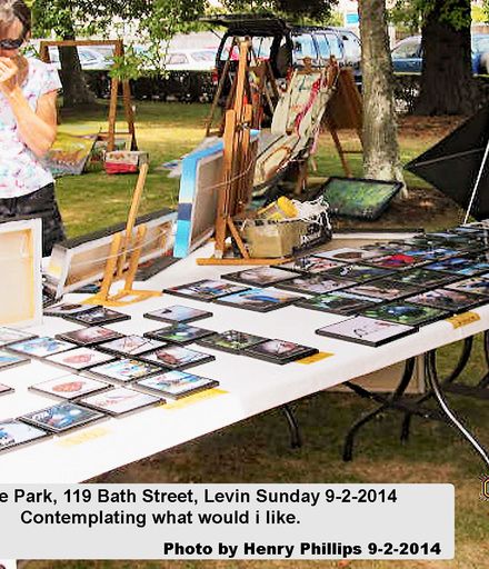 HJP 0429   Art in the Park, 119 Bath Street, Levin Sunday 9-2-2014  Contemplating what would i like