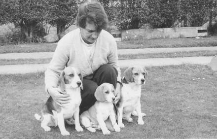 Ivy Jordon training Beagle dogs (3)