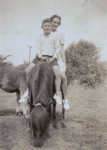 Standens Farm Molly The Shetland Pony 2