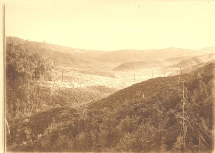 View of valley with cleared (burnt ?) bush