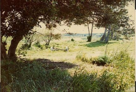 Foxton Foreshore Reserve