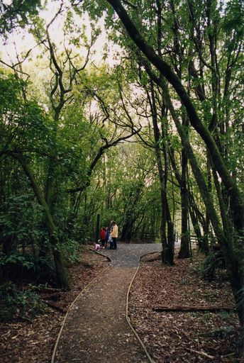 Lake Papaitonga Reserve