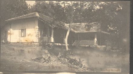 Shingle roofed bungalow under trees