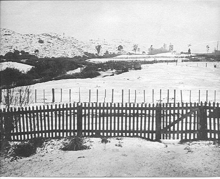 Snow on McDonald property