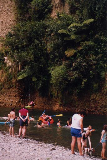 North School on Gladstone Road Reserve Outing