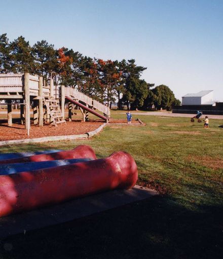 Muaupoko Park Playground