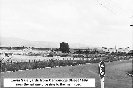 Snow at levin sale yards 1969 - Resource cover image