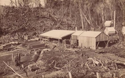 Sawmill at Stable Clearing, Arapeti ?, 1923