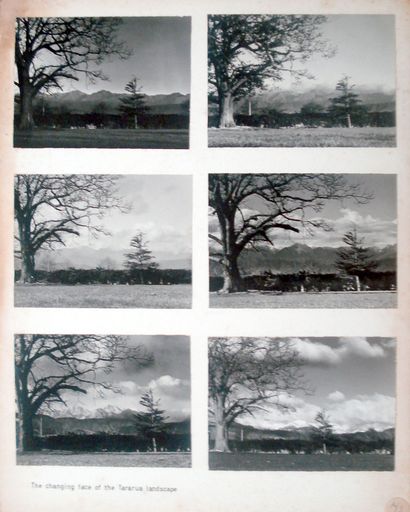Photo Series, Tararua Ranges