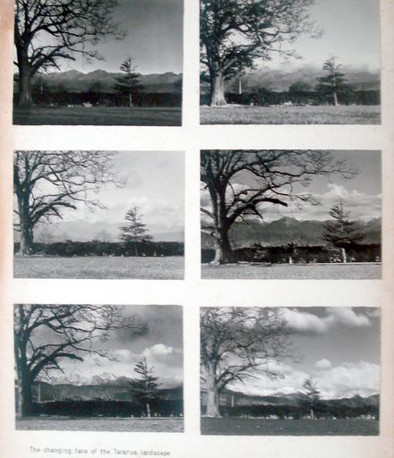 Photo Series, Tararua Ranges