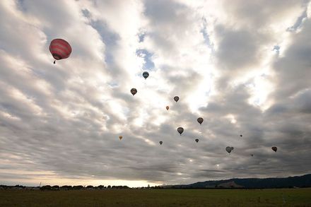 6576 - Resource cover image