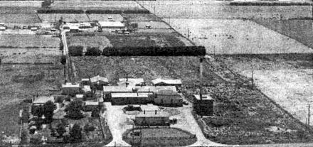 Dairy factory with piggery in the background 1950s - Resource cover image