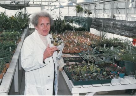 Alice Wood in glasshouse 2