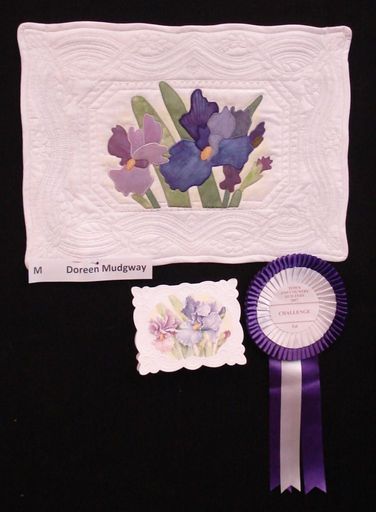 Irises by Doreen Mudgeway