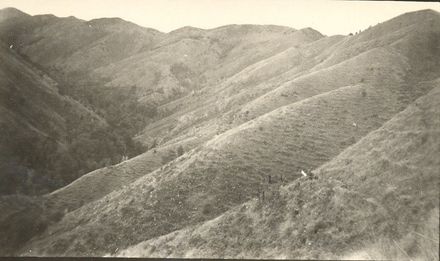 Head 88 Stream, 18/6/53