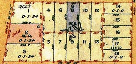 Block XV of Town of Levin - 1888 - Resource cover image