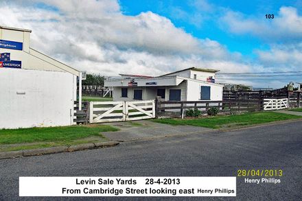 Levin Sale Yards 2013  from Cambridge Street looking east  no 103 - Resource cover image