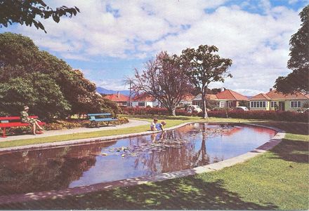 Gardens, Levin,N.Z.