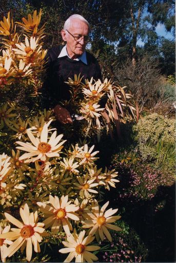 Pukehou Nurseries, Manakau