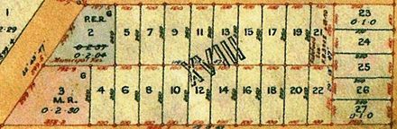 Block XVIII of Town of Levin, Waiopehu Survey district - Resource cover image