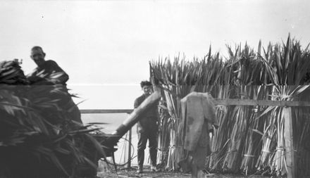 Men with flax - Resource cover image