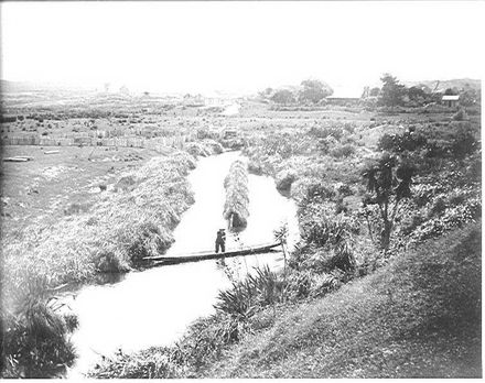 Hokio Stream, H.H. McDonald in canoe & 'Lakeside'
