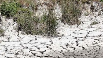 Drought worst since 1940s
