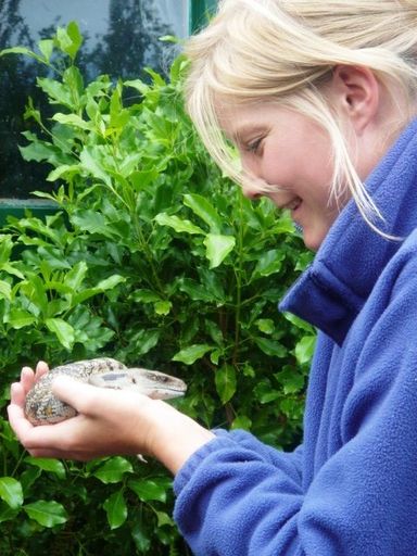 Holding a Blue Tounge!