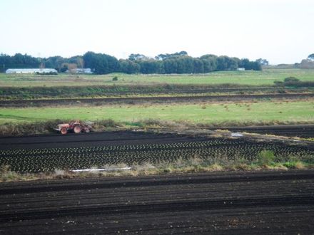 Bus trip around historic Otaki - Resource cover image