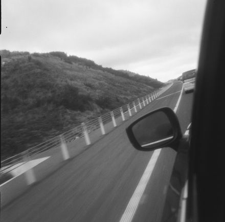 Transmission Gully- May 2022 Photograph