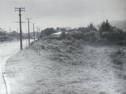 Site selected for new Paekakariki Sub-station