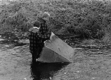 Whitebaiting, Foxton Beach