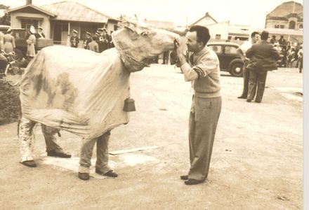 Queen Carnival Parade - Jack Barrett with "cow"