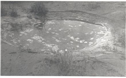 Earthquake, 1942 - sinkhole