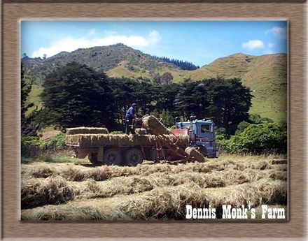 Waikawa Hay Balers
