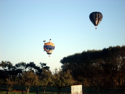 Friday Morning - Humpty and Swan heading south