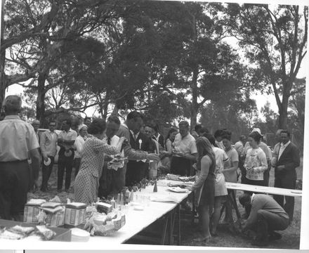 Group picnic (H.E.P.B. Staff ?)