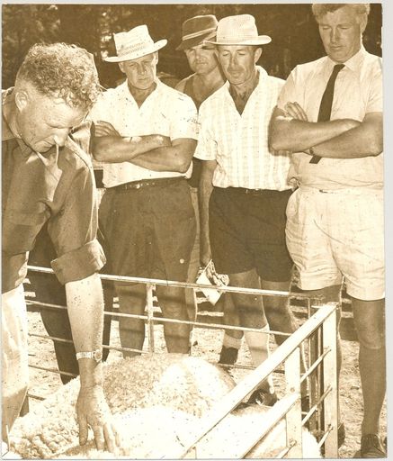 Conference of Perendale breeders, 1968