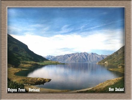 Waipoua Northland - Resource cover image