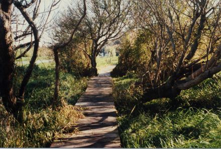 River Loop Boardwalk , Foxton