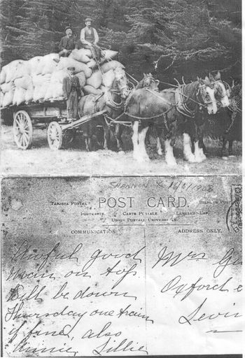 Loaded horse-drawn wagon with 3 men, Shannon, 1908