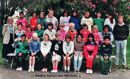 Manakau School Class 1993  Room 2 - Resource cover image