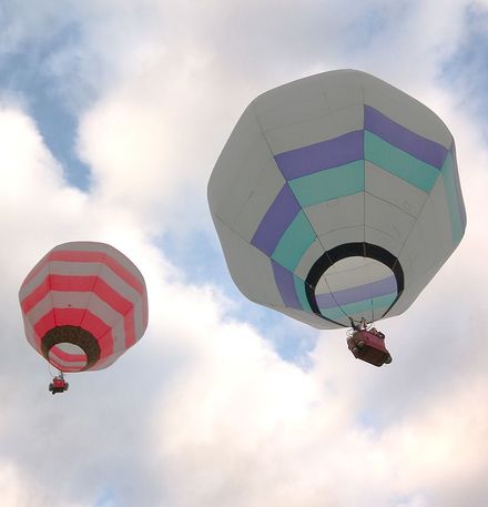 6551 - Resource cover image