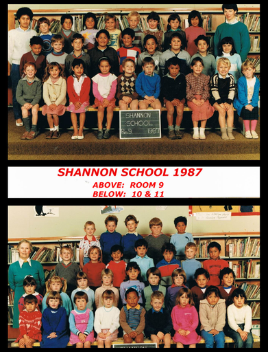 Shannon School 1987 - Resource cover image