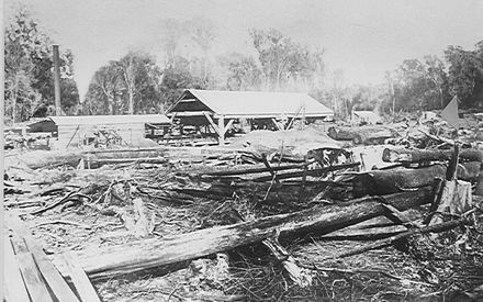 Bartholomew's sawmill, The Avenue, Levin, 1889
