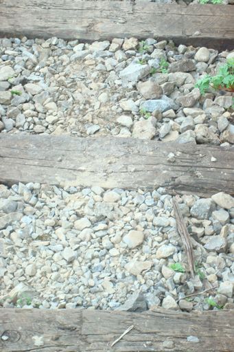 The track - Resource cover image